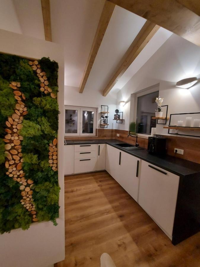 Апартаменты Auszeit Steiraland Penthouse 9 Mit Grossen Balkon Und Parkplatz Леобен Экстерьер фото